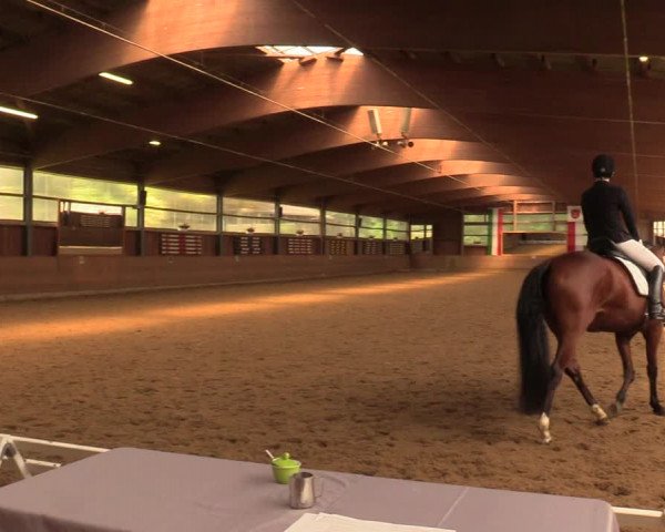 Reitturnier Schwerte-Gut Kückshausen 2018