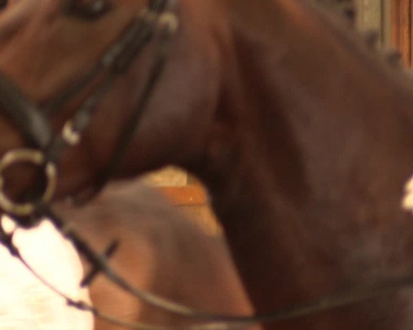 Reitturnier Schwerte-Gut Kückshausen 2018