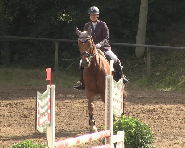 Reitturnier Wiesloch 2018