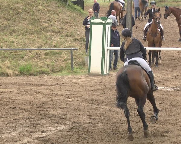 Reitturnier Wiesloch 2018