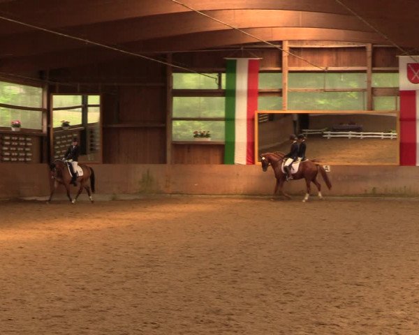 Reitturnier Schwerte-Gut Kückshausen 2018