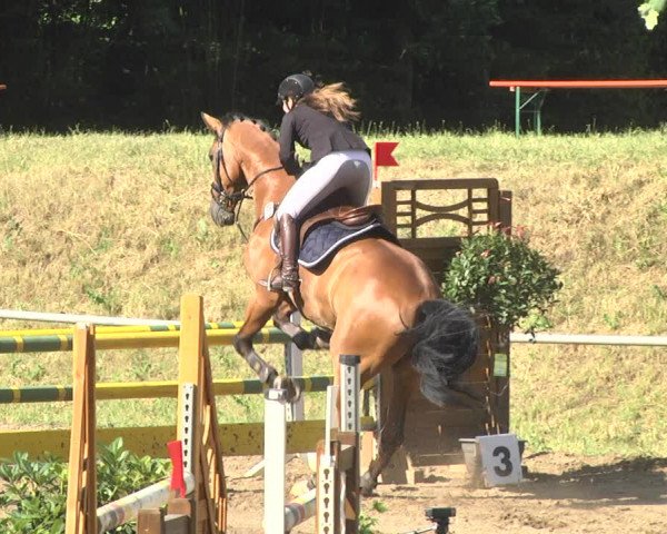 Reitturnier Wiesloch 2018