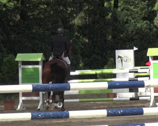 Leverkusener Reitertage - Teitscheider Hof 2018