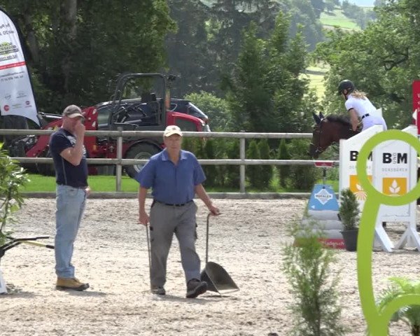 Rottaler Pferdesporttage Buholz 2018