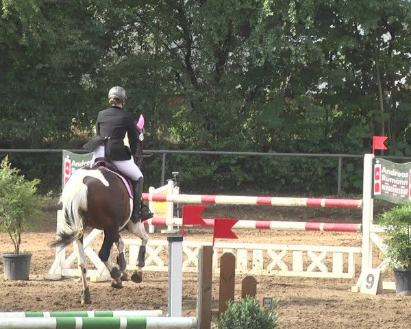 Reitturnier Wiesloch 2018