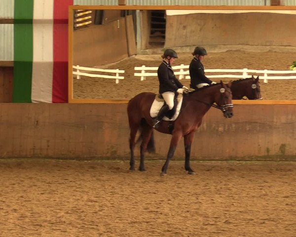 Reitturnier Schwerte-Gut Kückshausen 2018