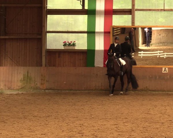 Reitturnier Schwerte-Gut Kückshausen 2018