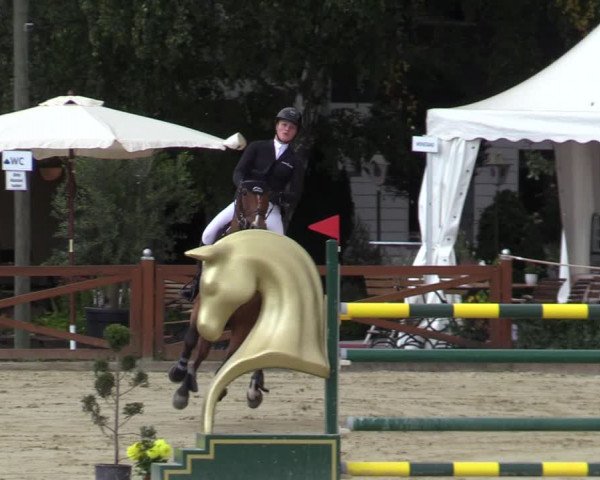 Equus Colonius - Reitanlage Brüse Köln 2021