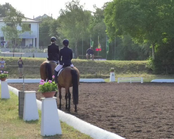 Reitturnier Wiesloch 2018