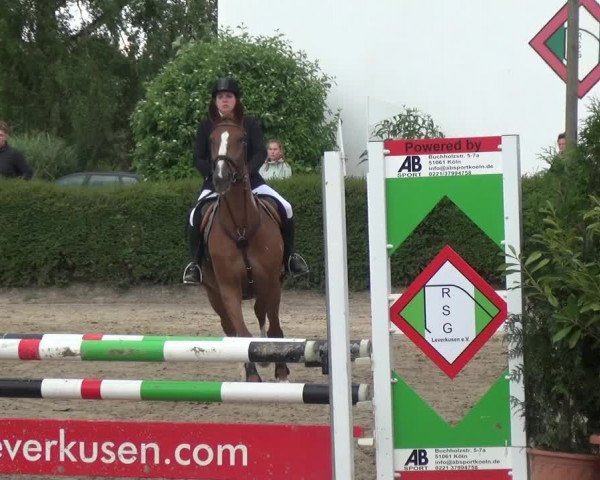 Leverkusener Reitertage - Teitscheider Hof 2018