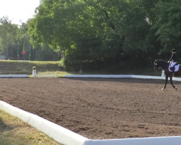 Reitturnier Wiesloch 2018