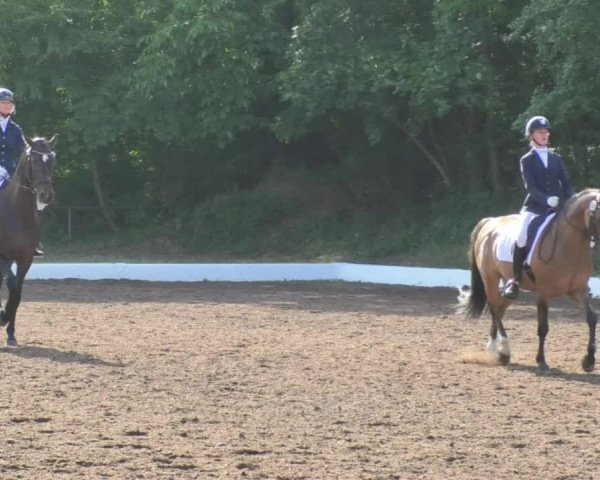 Reitturnier Wiesloch 2018