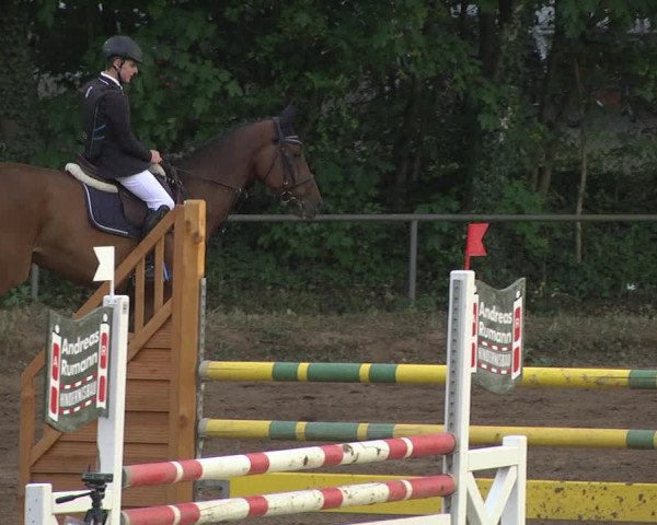 Reitturnier Wiesloch 2018