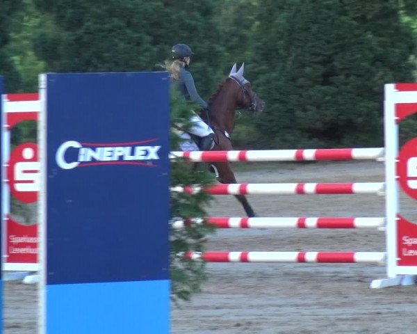 Leverkusener Reitertage - Teitscheider Hof 2018