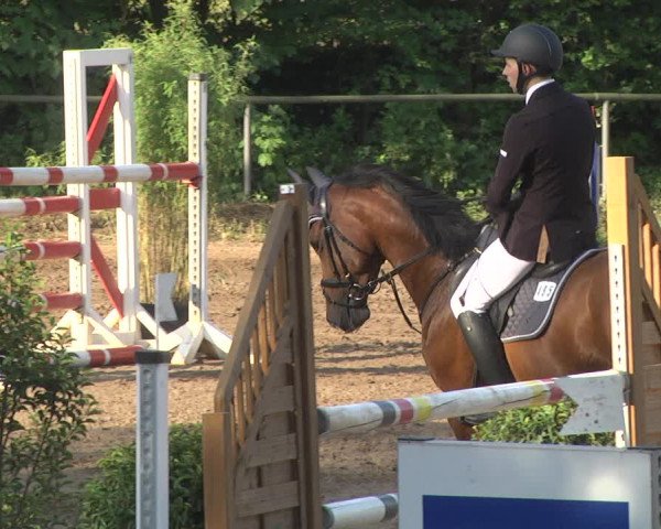 Reitturnier Wiesloch 2018