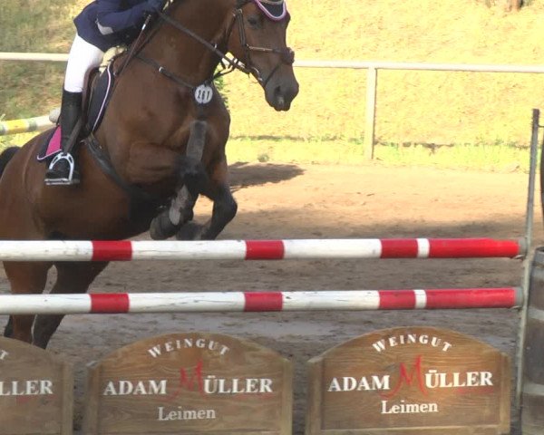Reitturnier Wiesloch 2018