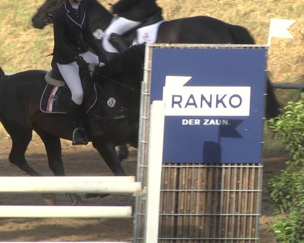 Reitturnier Wiesloch 2018