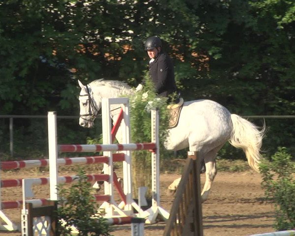 Reitturnier Wiesloch 2018