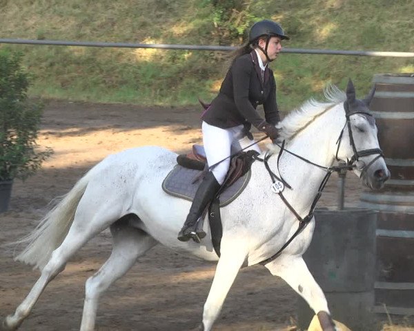 Reitturnier Wiesloch 2018