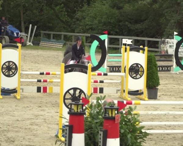 Reitturnier Kalenborn Hegehof 2018