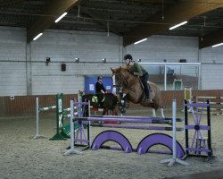 jumper Superio D'Acheronte (Italian Warmblood, 2007, from Lord Z)