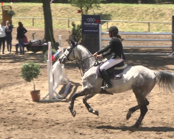 Reitturnier Wiesloch 2018