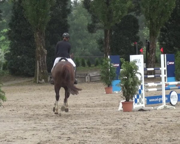 Leverkusener Reitertage - Teitscheider Hof 2018