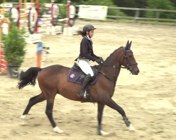 Reitturnier Kalenborn Hegehof 2018