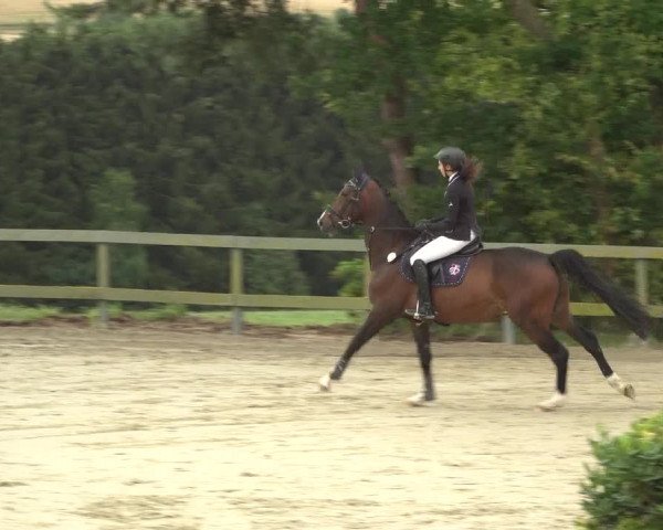 Reitturnier Kalenborn Hegehof 2018