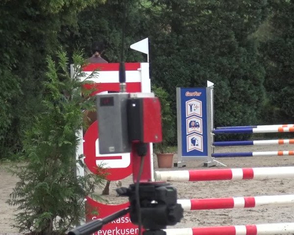Leverkusener Reitertage - Teitscheider Hof 2018