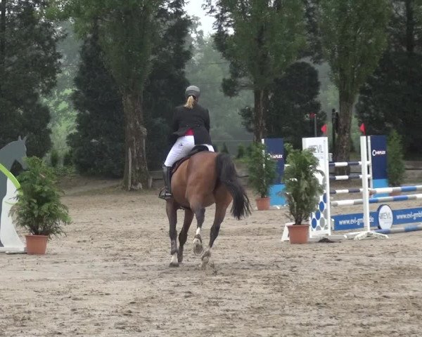 Leverkusener Reitertage - Teitscheider Hof 2018