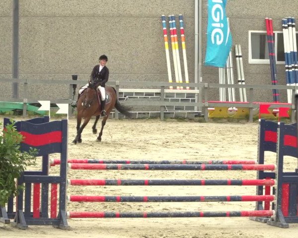 Reitturnier Kalenborn Hegehof 2018