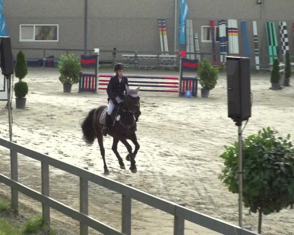 Reitturnier Kalenborn Hegehof 2018