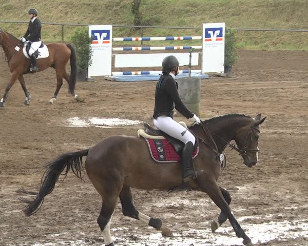 Reitturnier Wiesloch 2018