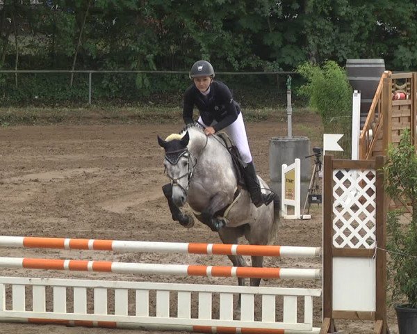 Reitturnier Wiesloch 2018