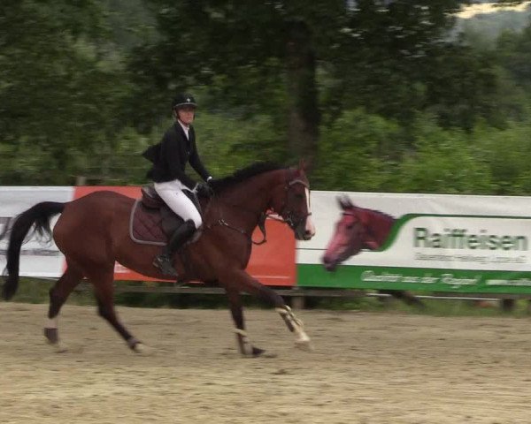 Reitturnier Schwerte-Gut Kückshausen 2018