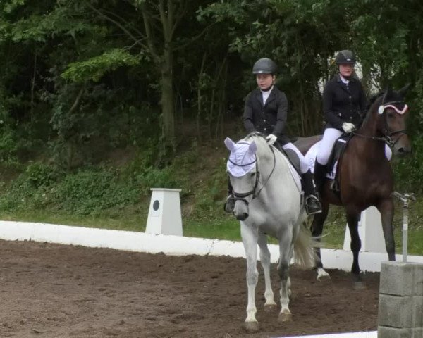 Reitturnier Wiesloch 2018
