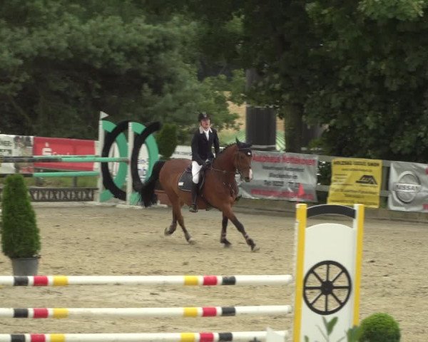 Reitturnier Kalenborn Hegehof 2018