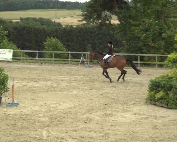 Reitturnier Kalenborn Hegehof 2018