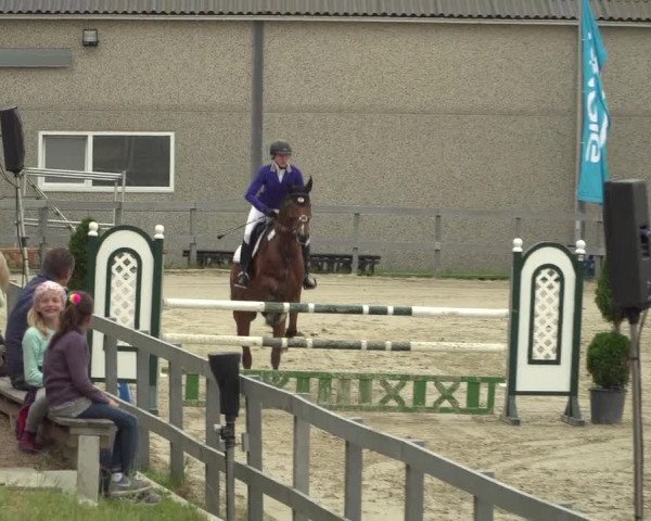 Reitturnier Kalenborn Hegehof 2018