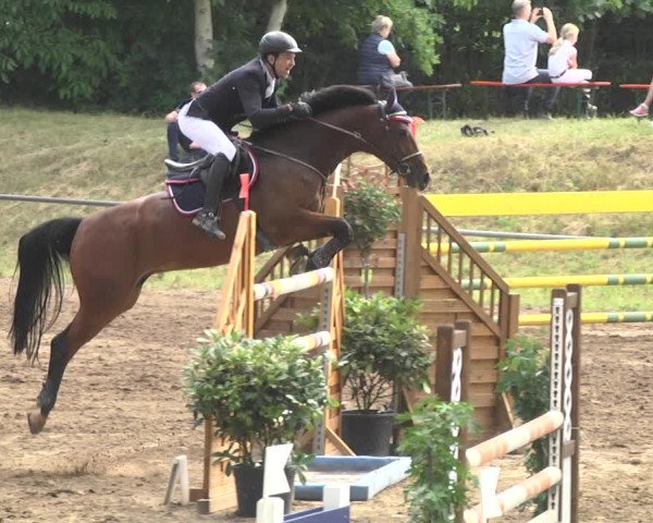 Reitturnier Wiesloch 2018