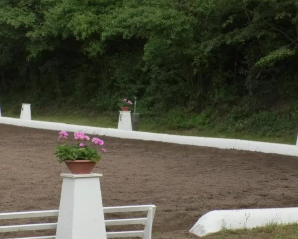 Reitturnier Wiesloch 2018