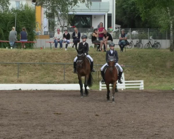 Reitturnier Wiesloch 2018