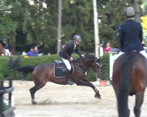 Leverkusener Reitertage - Teitscheider Hof 2018