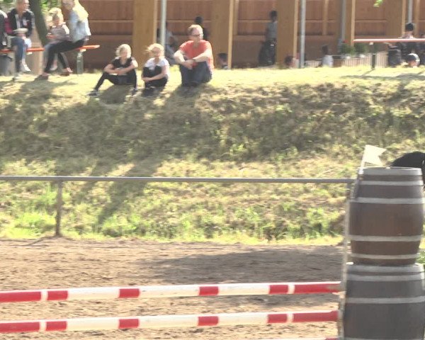 Reitturnier Wiesloch 2018