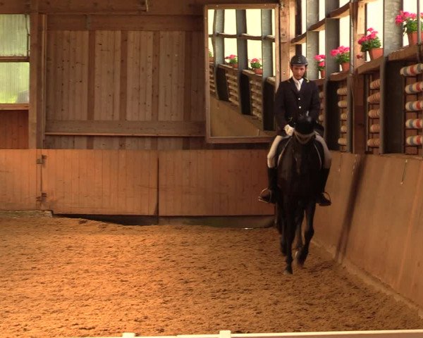 Reitturnier Schwerte-Gut Kückshausen 2018