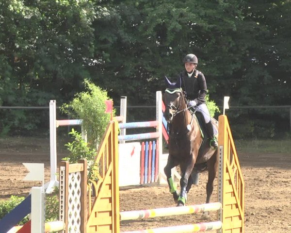 Reitturnier Wiesloch 2018