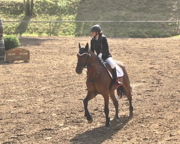 Reitturnier Wiesloch 2018