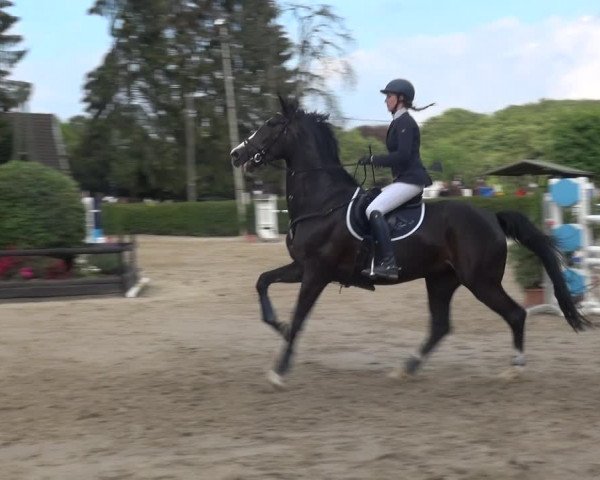Leverkusener Reitertage - Teitscheider Hof 2018