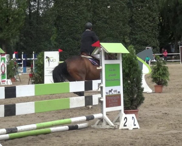 Leverkusener Reitertage - Teitscheider Hof 2018